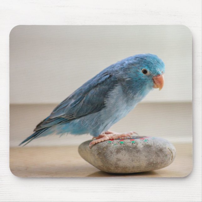 Blue Bird Mouse Pad (Front)
