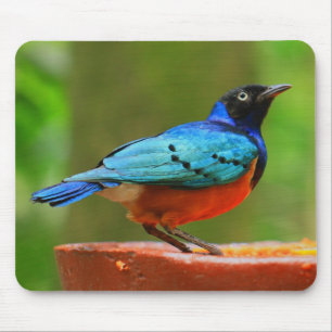 Blue Bird Mousepad