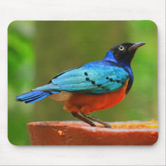 Blue Bird Mousepad
