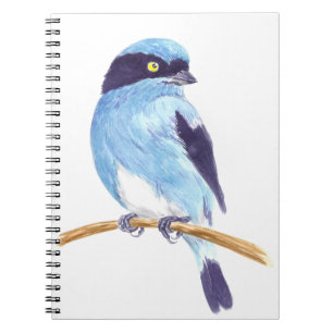 Blue bird notebook