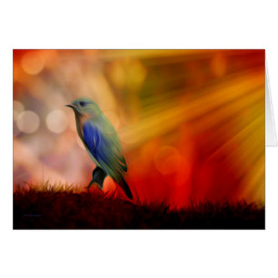 Blue Bird of Happiness