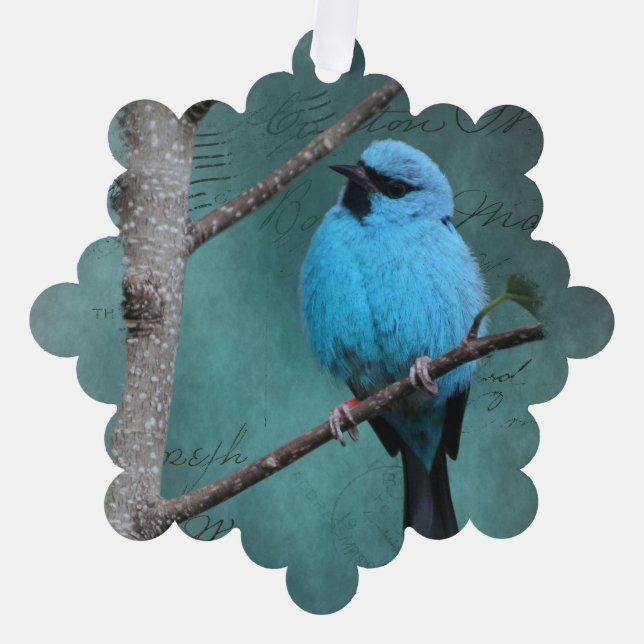 Blue Bird on Branch Mixed Media Tree Decoration Card (Front)