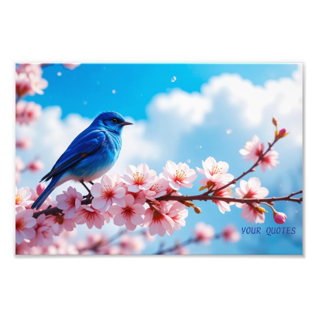 Blue Bird on Cherry Blossom Branch Photo Print (Front)