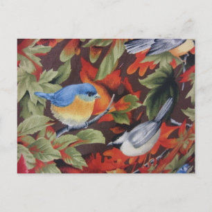 Blue Bird Postcard