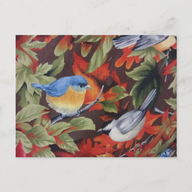 Blue Bird Postcard (Front)
