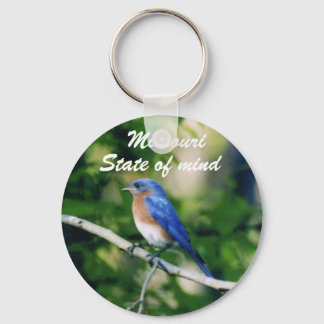 Blue bird single, Missouri, State of mind Key Chan Ring