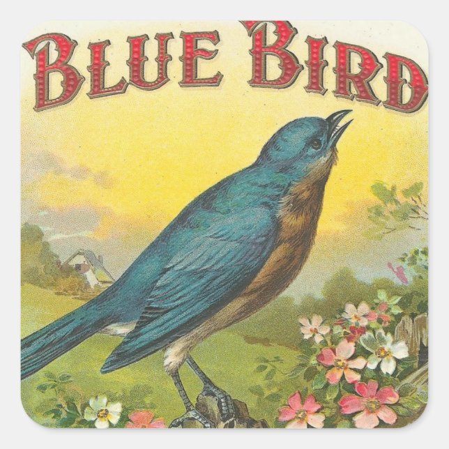 Blue Bird Square Sticker (Front)