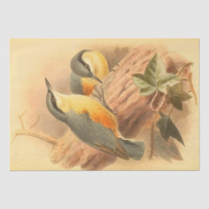 Blue Birds Beautiful Vintage Decopage Tissue Paper