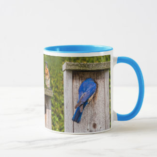 blue birds mug
