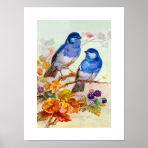 Blue birds poster