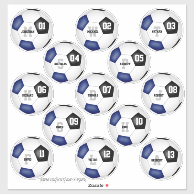 blue black soccer team colours 13 players names (Sheet)