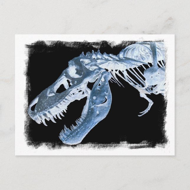 Blue & Black T-Rex X-Ray Bones Photo Postcard (Front)