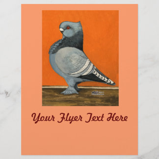 Blue Blondinette Pigeon Flyer