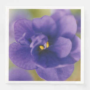 Blue Blooming Flower of Violet Saintpaulia Zoomed Napkin