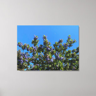 Blue Blooms Canvas Print