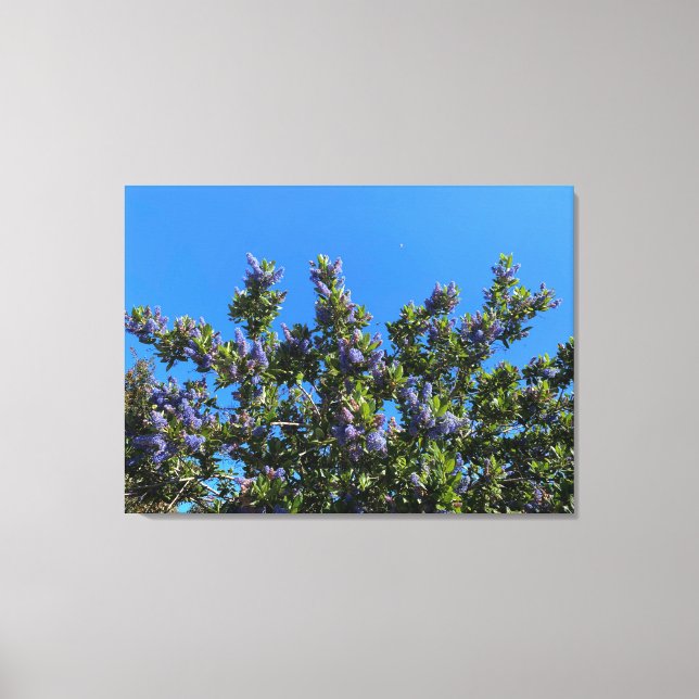 Blue Blooms Canvas Print (Front)