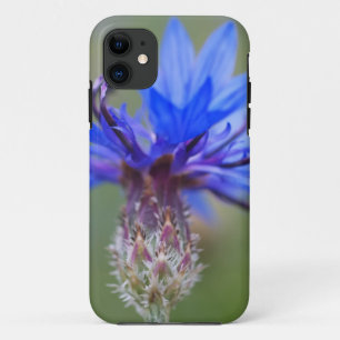 Blue Blossoms Ladybug Peace Love Destiny Art Vine iPhone 11 Case
