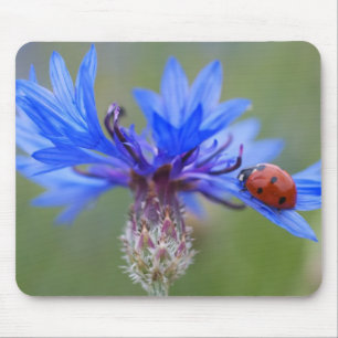 Blue Blossoms Ladybug Peace Love Destiny Art Vine Mouse Pad