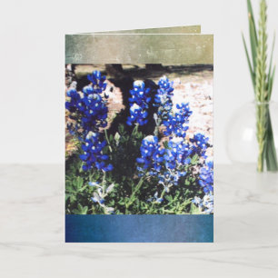 Blue Bonnet Blank Greeting Card