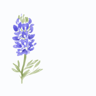 Blue bonnets painting Return Address Mailing Label