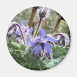 Blue Borage Star flower on a kitchen magnet