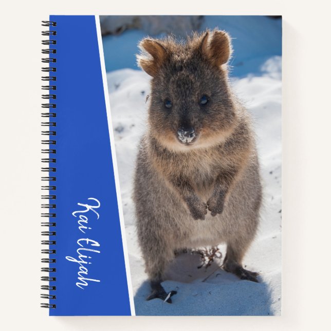Blue Boys Custom Name Quokka on the Beach Notebook (Front)