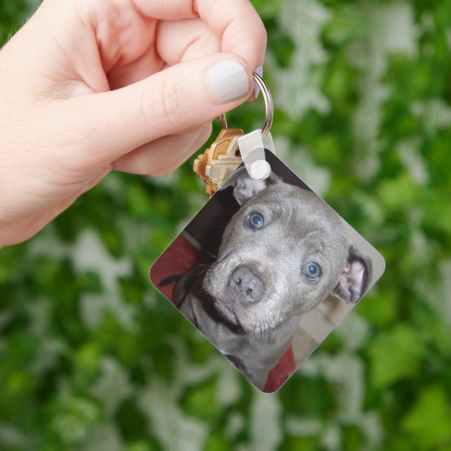 Blue Breed Staffordshire Bull Terrier Puppy, Key Ring (Hand)