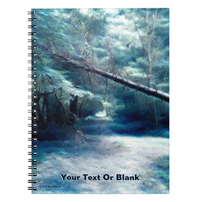 Blue Bridle Path Notebook (Front)
