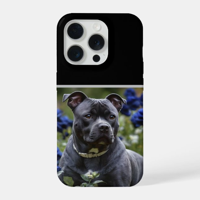 "Blue Brindle Beauty: A Staffy With Blue Roses iPhone Case (Back)