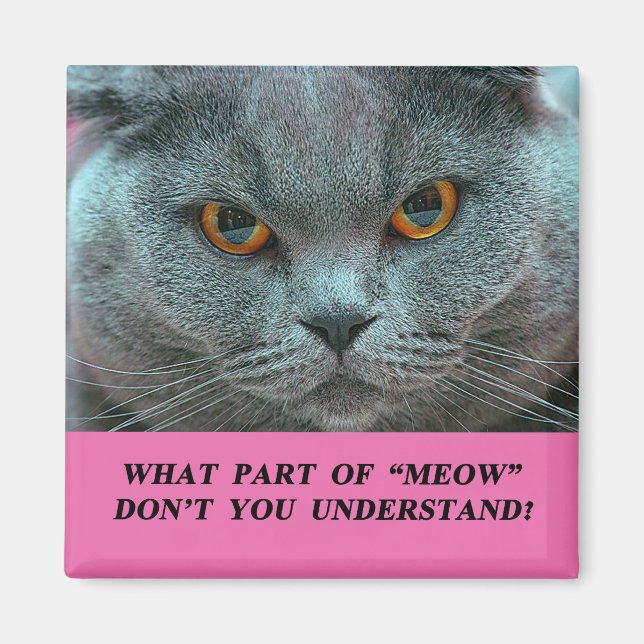Blue British Shorthair Cat fridge magnet (Front)