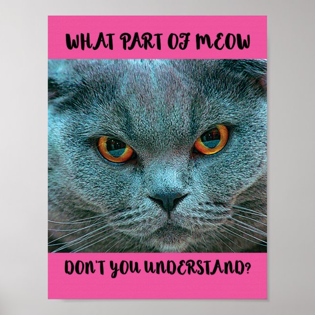 Blue British Shorthair Cat funny and humourous Poster (Front)