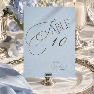 Blue Brown Coastal Wedding Table Number