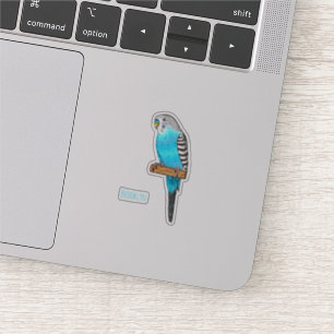 Blue budgerigar bird cartoon illustration