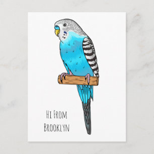 Blue budgerigar bird cartoon illustration postcard