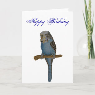 Blue Budgie Card