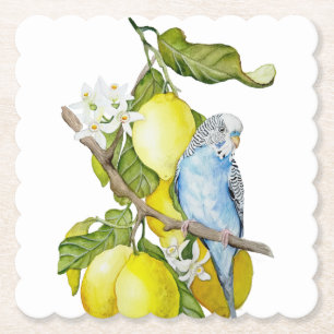 Blue Budgie in Lemon Tree Watercolor Botanical Art Paper Coaster