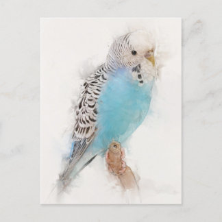 Blue Budgie Portrait Postcard