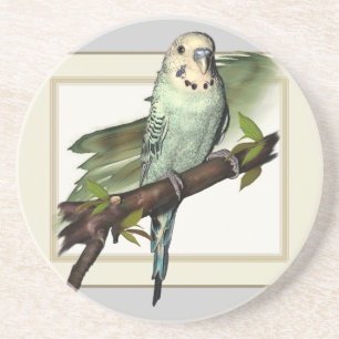 Blue Budgie Sandstone Coaster