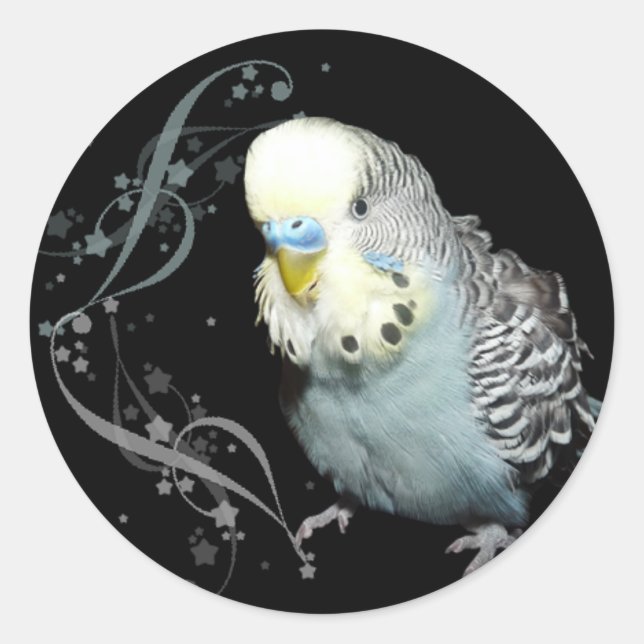 Blue budgie sticker (Front)