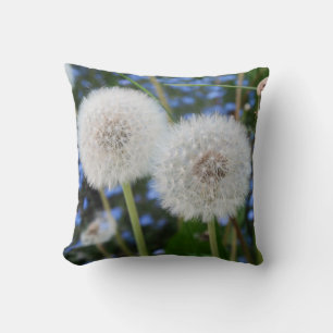 blue, buttercup, plant, dandelion, meadow, white, cushion