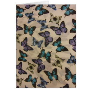 Blue Butterflies