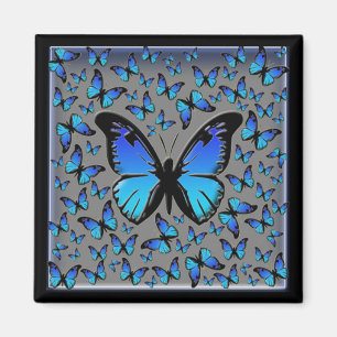 blue butterflies magnet