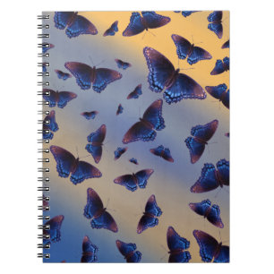 Blue Butterflies Sunrise Spiral Notebook