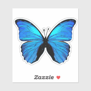 Blue butterfly