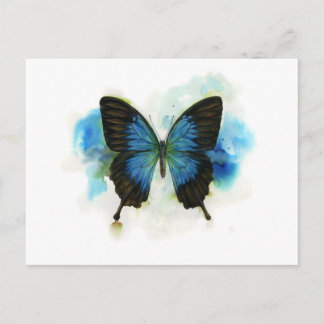 Blue Butterfly Any Occasion Stationery Postcard