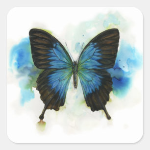 Blue Butterfly Any Occasion Stationery Square Sticker