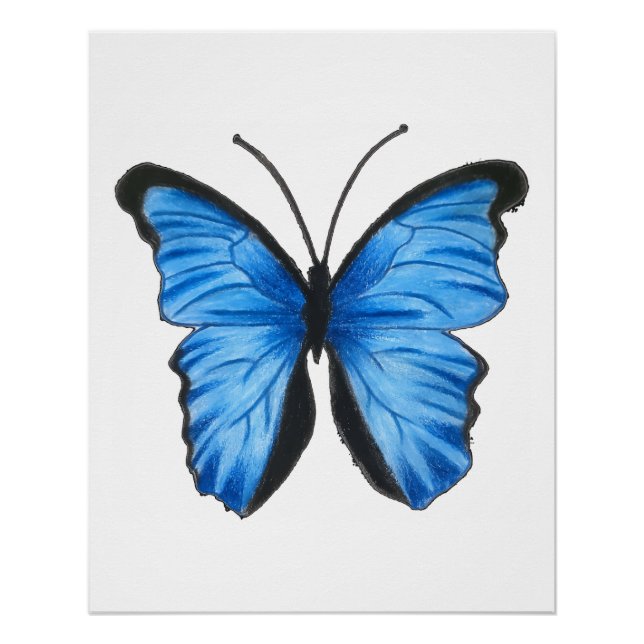 Blue Butterfly Art Poster (Front)