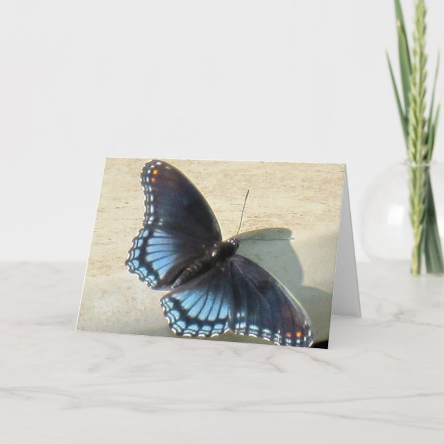 Blue Butterfly Card (Front)