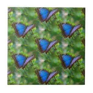 Blue Butterfly Ceramic Tile