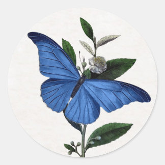 Blue Butterfly Classic Round Sticker